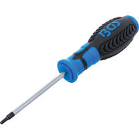 SCHRAUBENDREHER | T-PROFIL (FÜR TORX) MIT BOHRUNG T15 | KLINGENLÄNGE - Multicolor, Kunststoff/Metall (1/1cm) - BGS technic