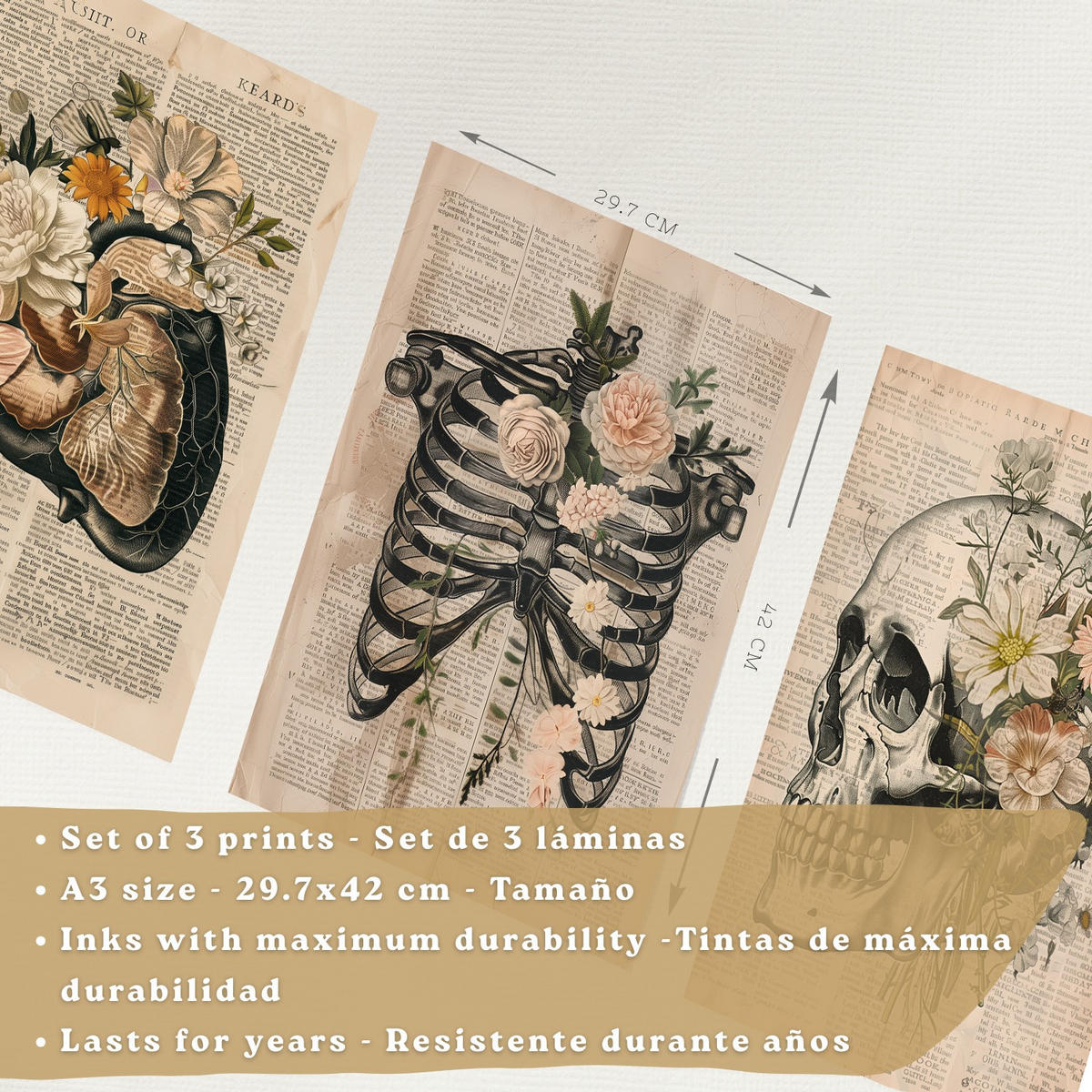 POSTER Set aus 3 Anatomie Mensch Drucke und Wandbilder mit Leber Rippen und Schädel Retro Floraler Stil Medizinische Wanddekoration Größe Rahmenlos A3 - Klar, Papier (29.7/42/3cm) - Nacnic