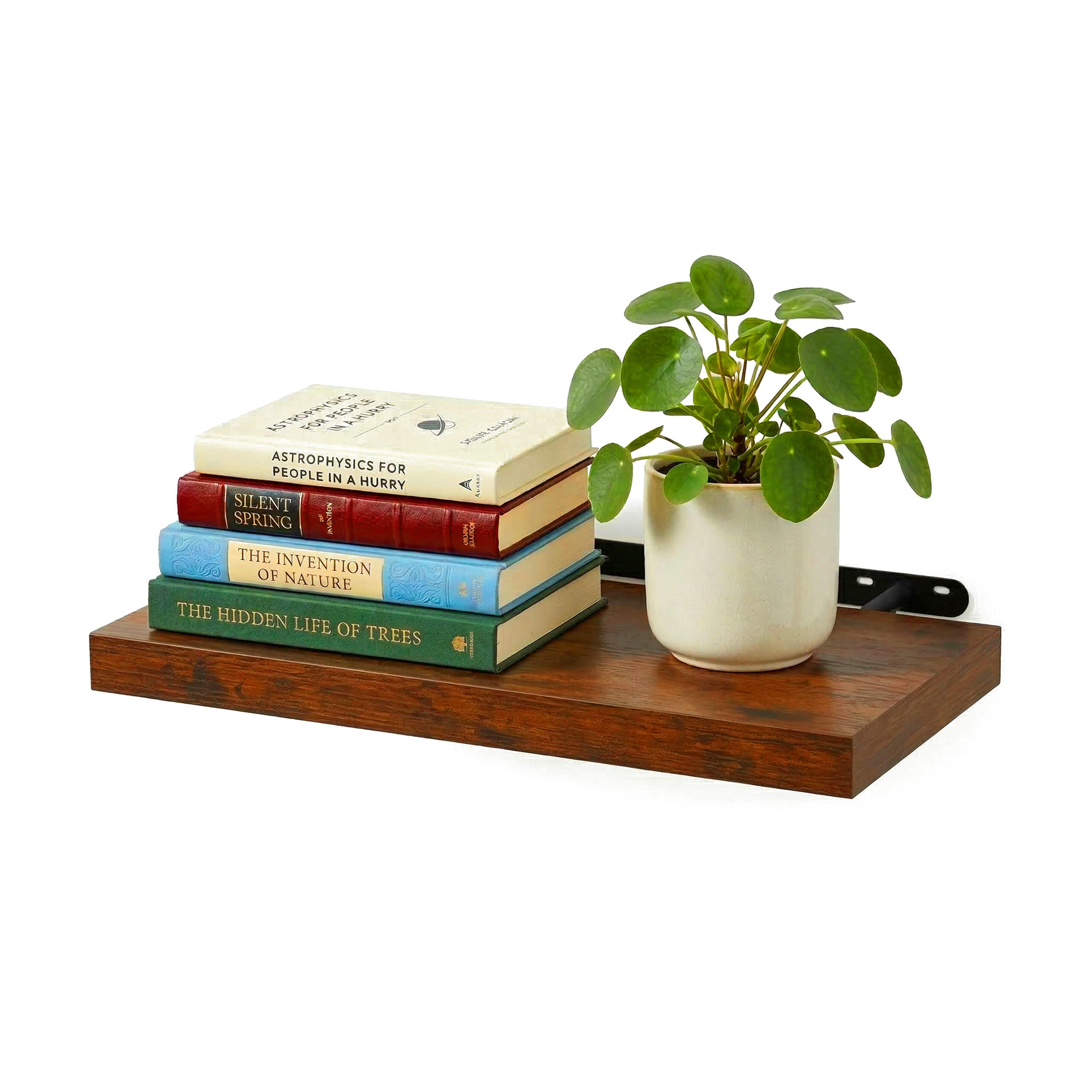 NÁSTENNÁ pol. - hnedá, kov/kompozitné drevo (40/4/23cm) - Relaxdays