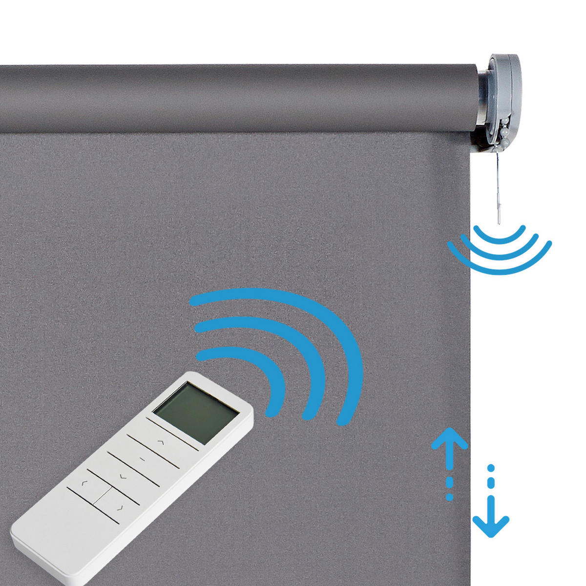 VERDUNKELUNGSROLLO motorisierte Grau 100x250 cm - Grau, Kunststoff (100/250cm) - STORESDECO