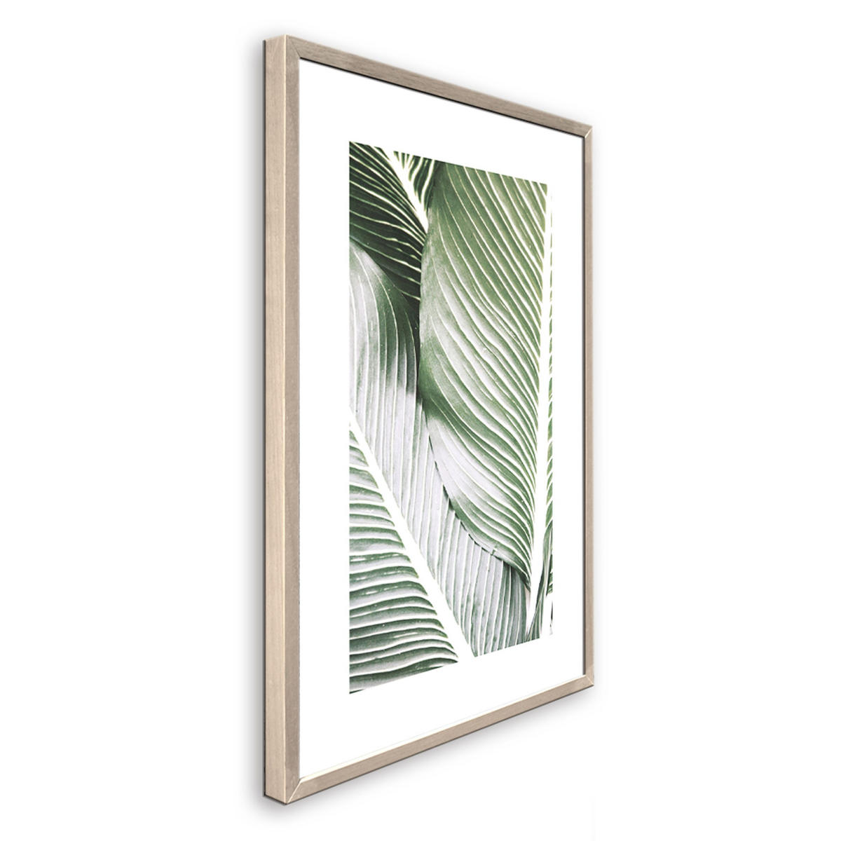 POSTER mit Rahmen 50x70 cm Tropisches Blatt Grün - Beige, Holz (51/71cm) - artissimo