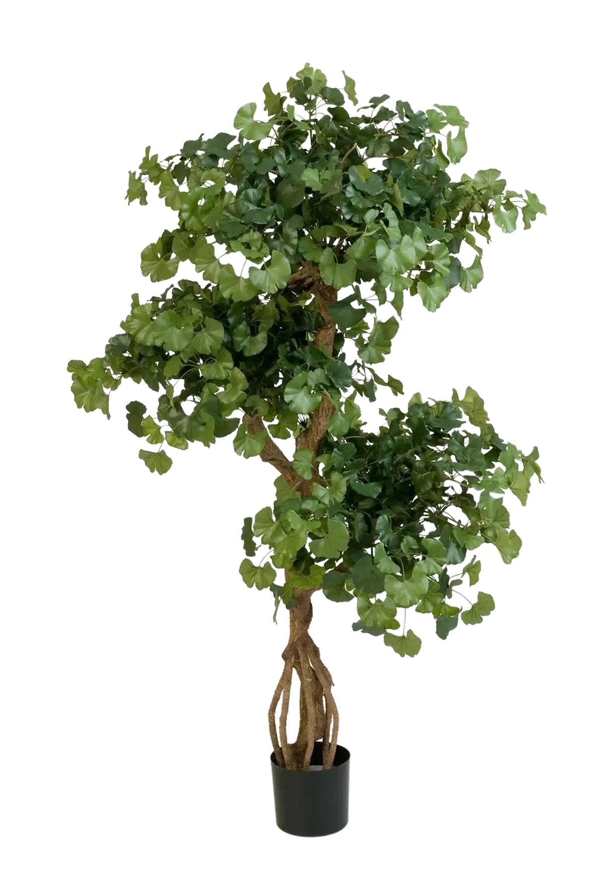 KUNSTBAUM Künstlicher Gingko - Tino 145 cm - Grün, Kunststoff (145cm) - aplanta