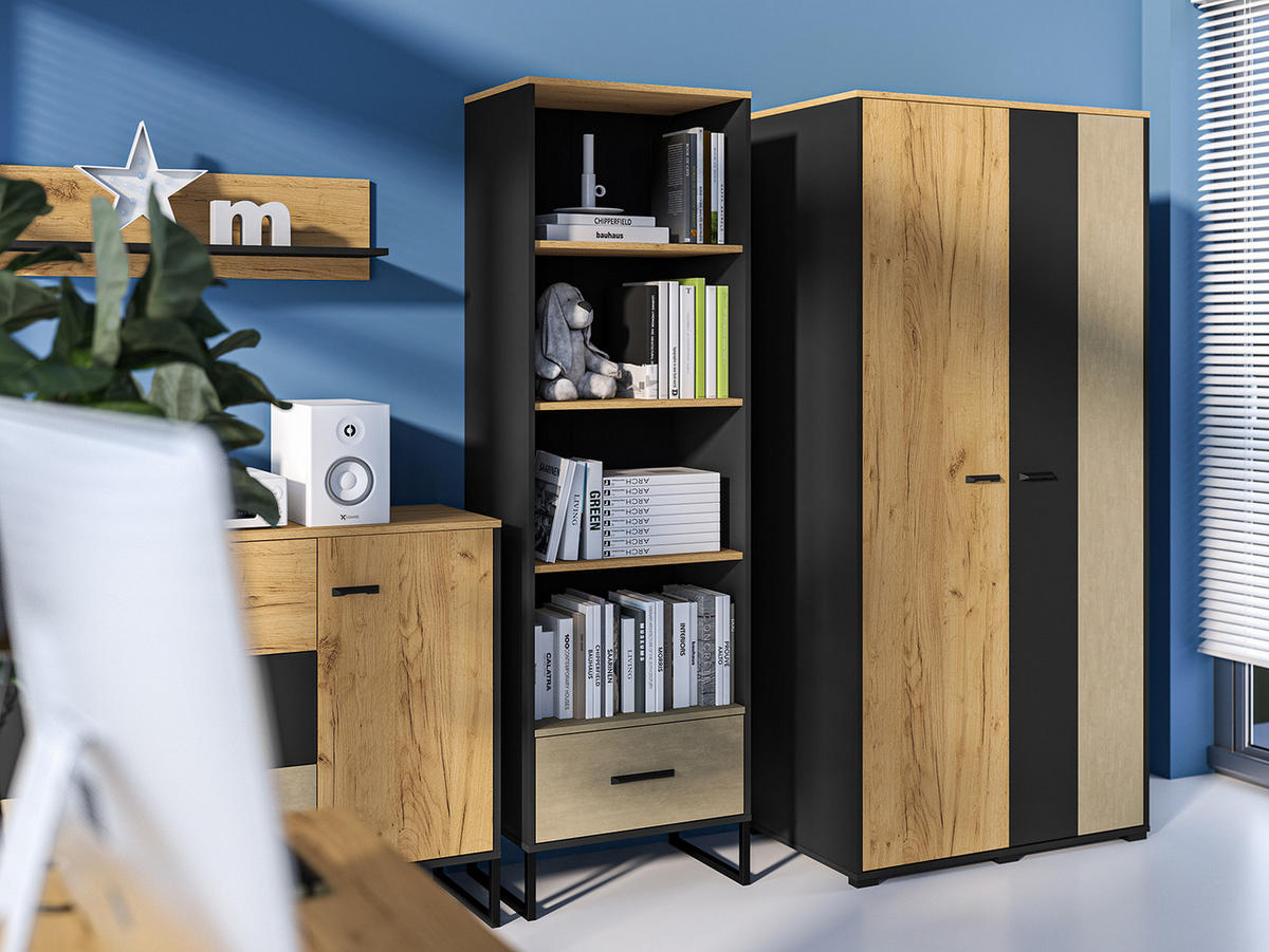 BÜCHERREGAL Colt schwarz / Craft Gold Eiche / Premium Steel 58 / 40 / 190cm - Grau, Holz/Holzwerkstoff (58/190/40cm) - Feldmann-Wohnen