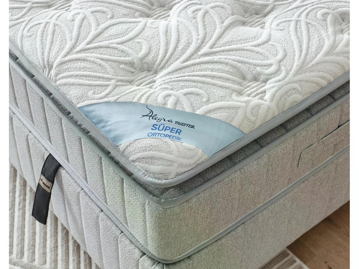 POLSTERBETTSET Alegra Master 120x200 Grau - Grau, Textil/Metall (120/200cm) - Villa Möbel