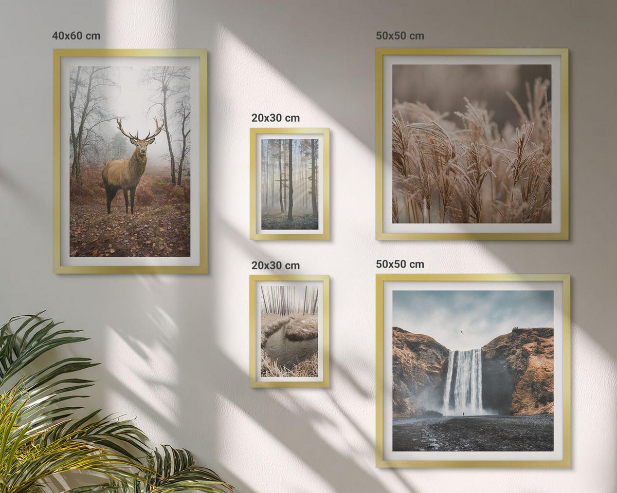 BILDER SET 5er Set - 50x50 cm & 20x30 cm & 40x60 cm Goldrahmen - Die charmanten Straßen der Hafenstädte - Goldfarben, Kunststoff (40/60cm) - TULUP