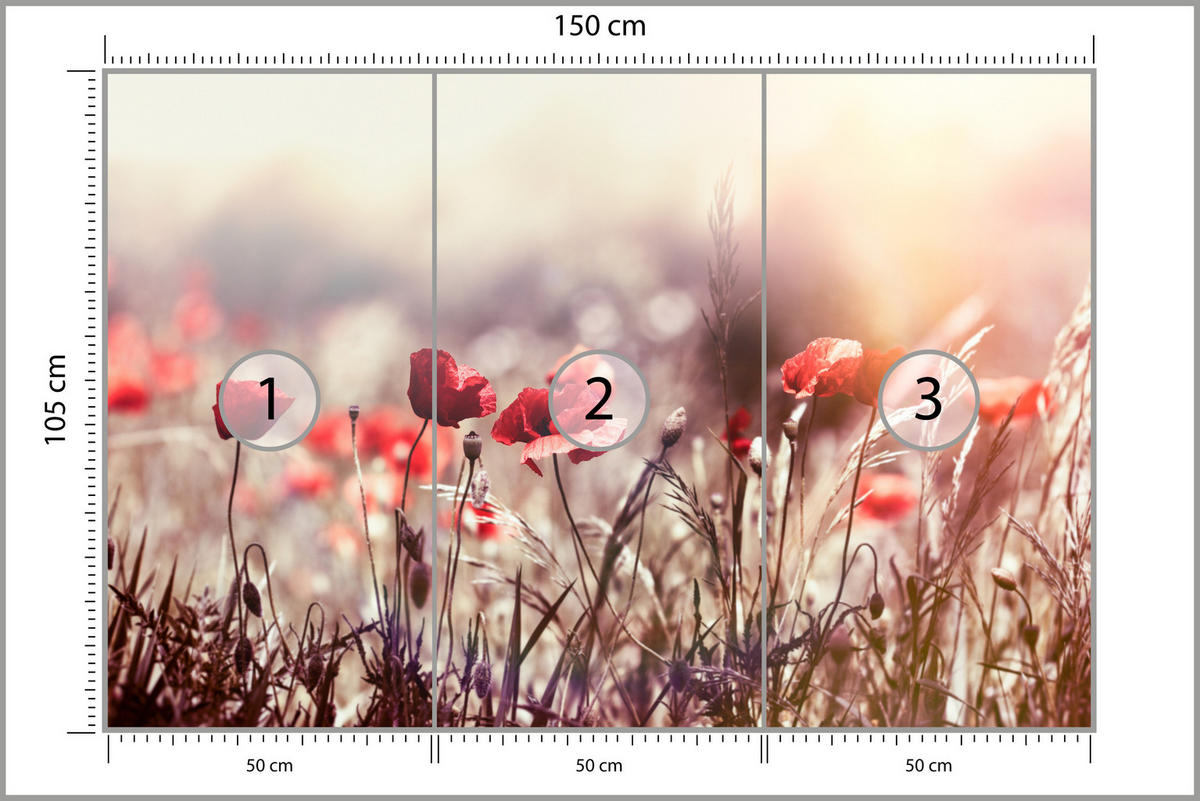 FOTOTAPETE für Esszimmer Feldblumen Rote Mohnwiese Sonne 150x105 - Rot/Orange, Papier (150/105cm) - Muralo