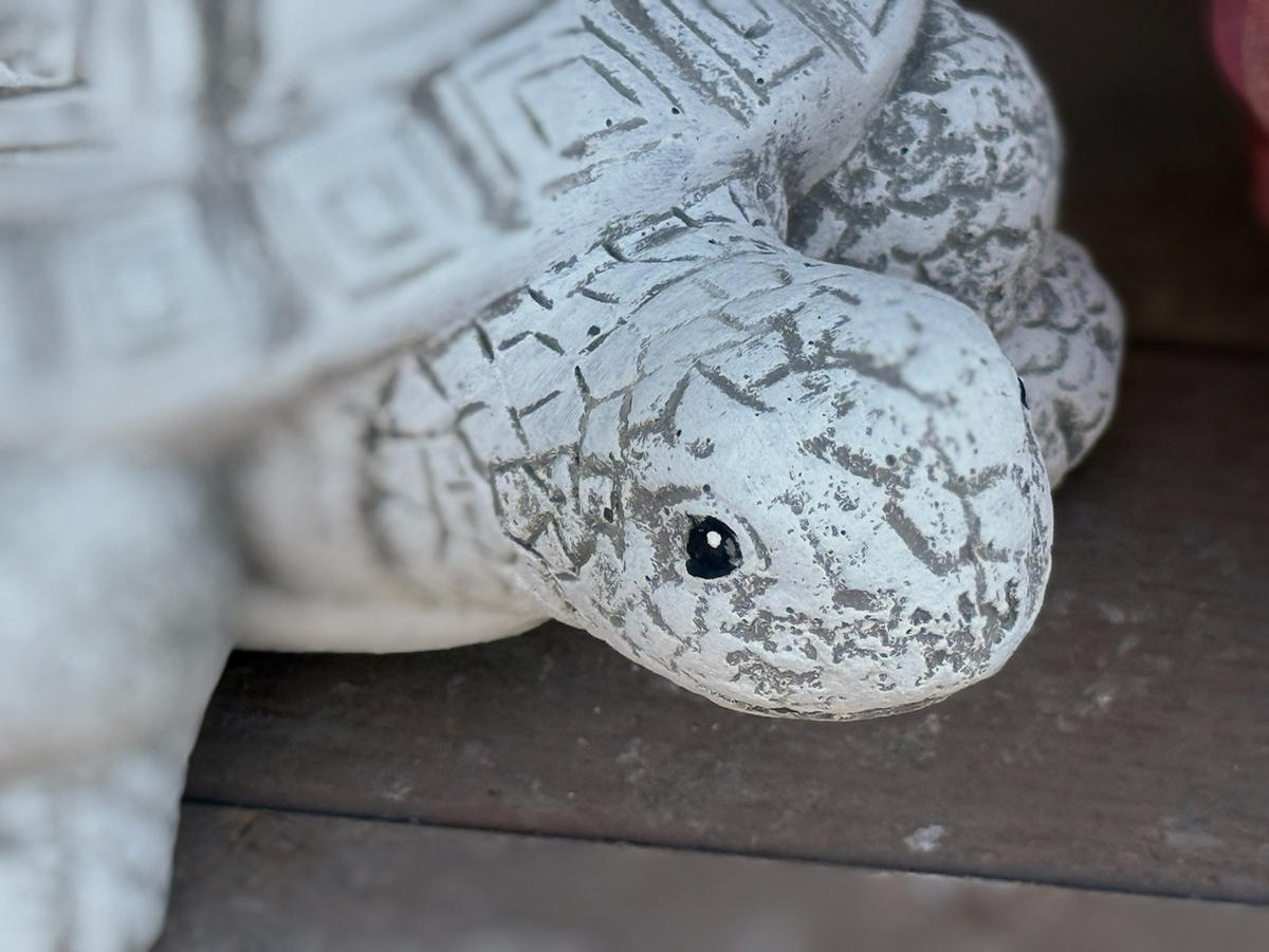 STEINFIGUR Schildkröte aus Steinguss frostfest wetterfest - Grau, Stein (12/8/19cm) - stoneandstyle