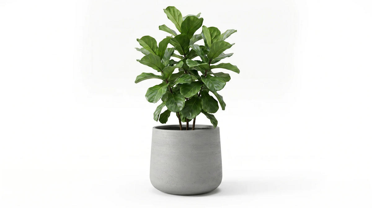 PFLANZTOPF Kiesel grau | 34X29 - Grau, Kunststoff (29cm) - aplanta