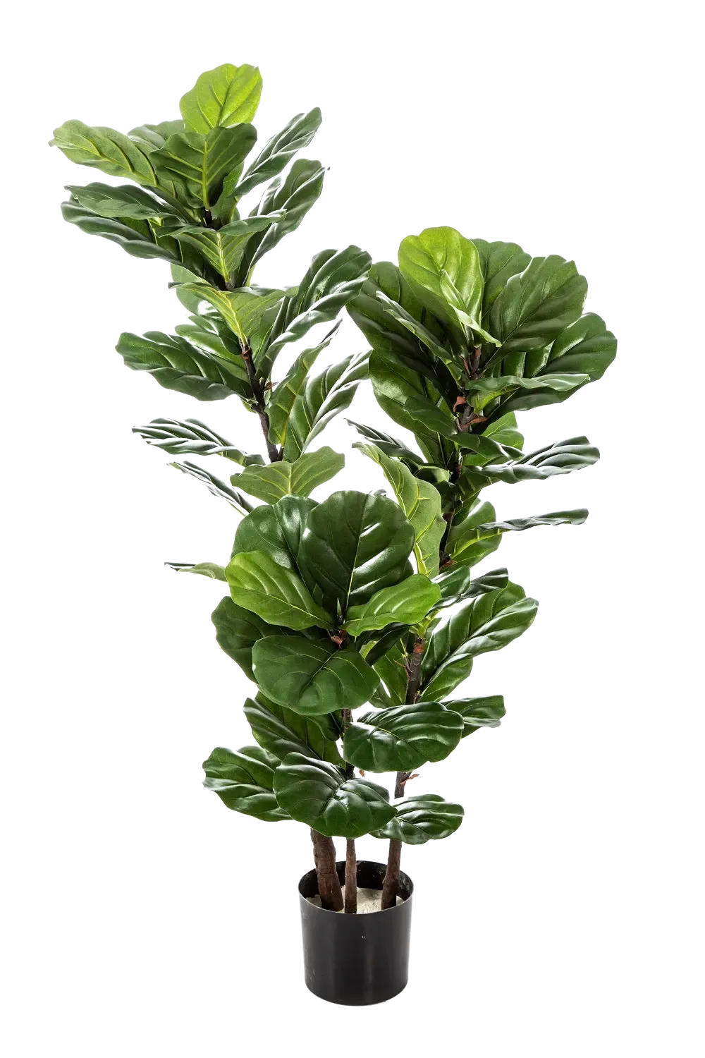 KUNSTBAUM Künstliche Geigenfeige - Lena 130 cm - Grün, Kunststoff (130cm) - aplanta