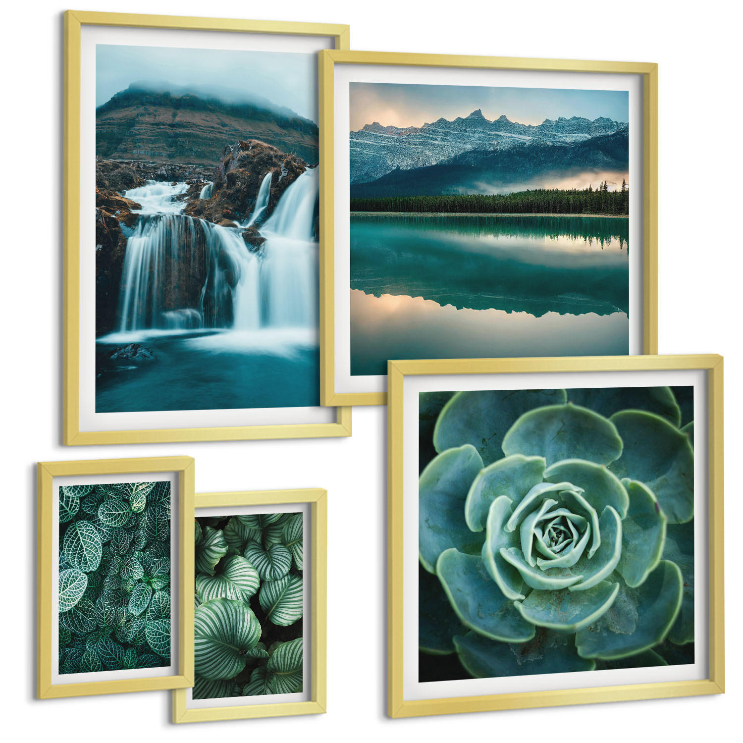 BILDER SET 5er Set - 50x50 cm & 20x30 cm & 40x60 cm Goldrahmen - Sukkulenten in Grün und Türkis - Goldfarben, Kunststoff (40/60cm) - TULUP