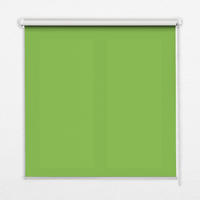 VNÚTORNÁ roleta - okenná roleta - roleta - 100x100 cm - Zelená - zelená, plast (100/100/0.5cm) - TULUP