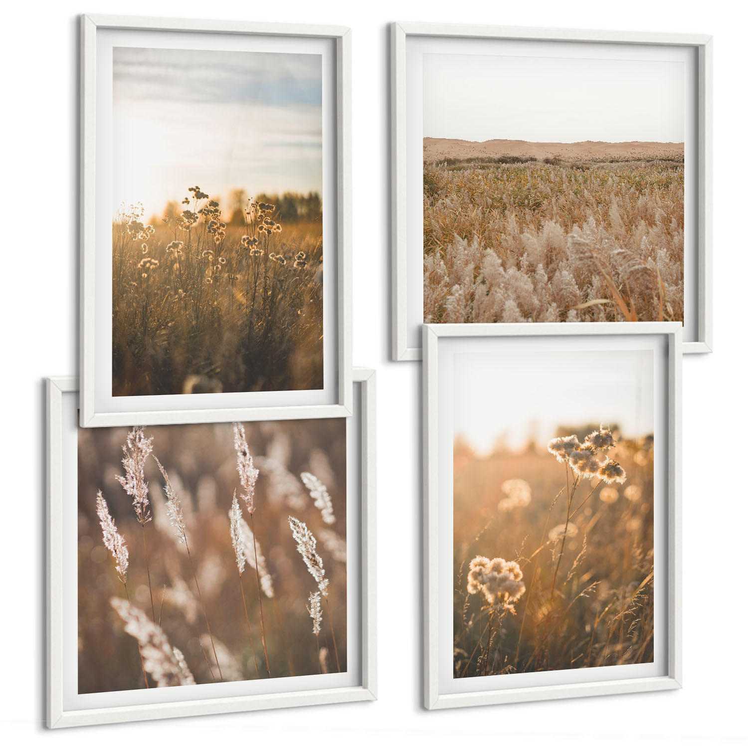 BILDER SET 4er Set - 50x50 cm & 40x60 cm Weißer Rahmen - Sommerwiesenblumen Sonnenuntergang - Weiß, Kunststoff (50/50cm) - TULUP