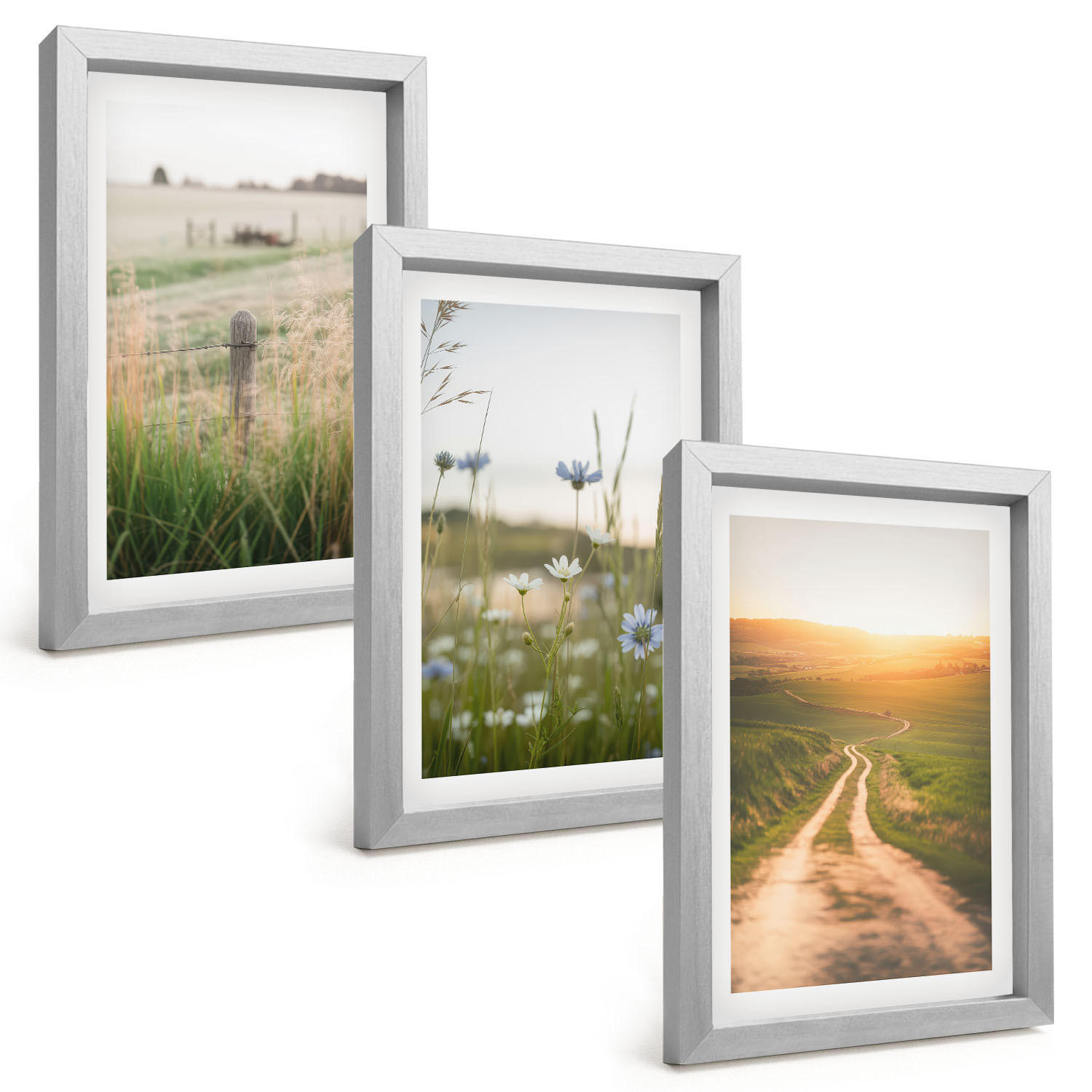 BILDER SET 3er Set - 20x30 cm Silberner Rahmen - Landschaften Natur Felder Weg - Silberfarben, Kunststoff (20/30cm) - TULUP