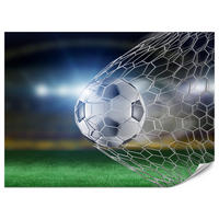 FOTOTAPETE für Jugendzimmer Fußball Tor Stadion Ball 100x70 - Schwarz/Weiß, Papier (100/70cm) - Muralo