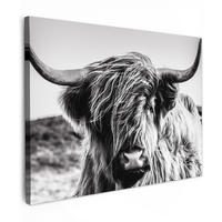 LEINWANDBILD Kuh - Schottischer Hochländer - Schwarz - Weiß - Tier - Natur - Wildtiere Wandbilder 80x60 cm - Schwarz, Textil (80/60cm) - MuchoWow