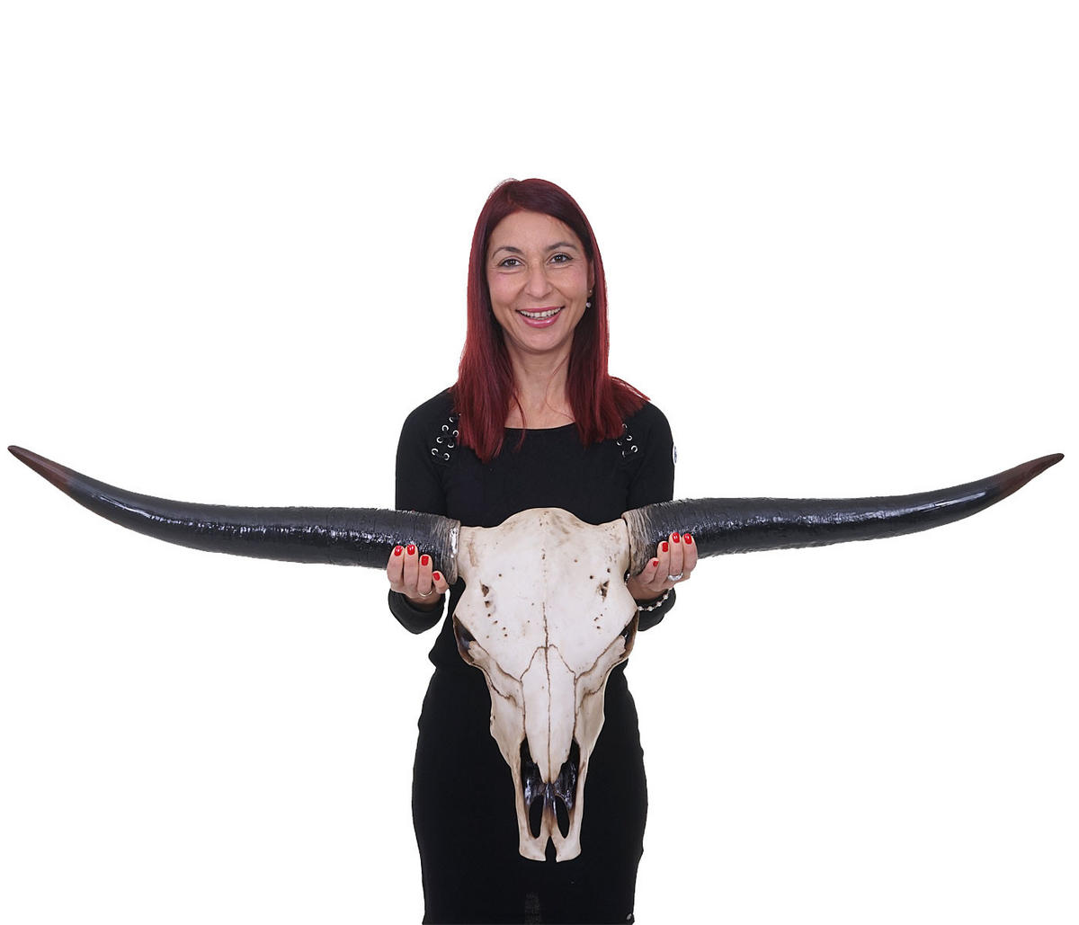DEKO SCHÄDEL STIER Beige, Schwarz - Beige/Schwarz, Stein (132/56/15cm) - MCW
