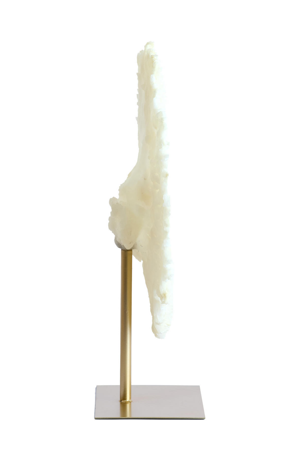 ORNAMENT Koralle Weiß 46/20/69 cm - Weiß, Kunststoff (20/69/46cm) - Light & Living