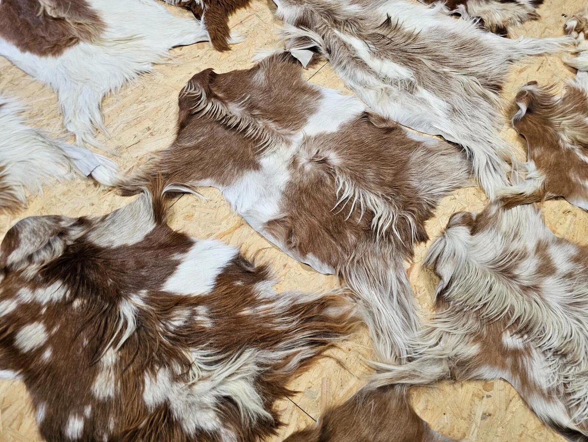 FELL Ziegenfell Braun-Weiß Naturfarben Teppich ca. 90 cm 2.Wahl - Braun/Weiß, Fell (50/90cm) - Provellus