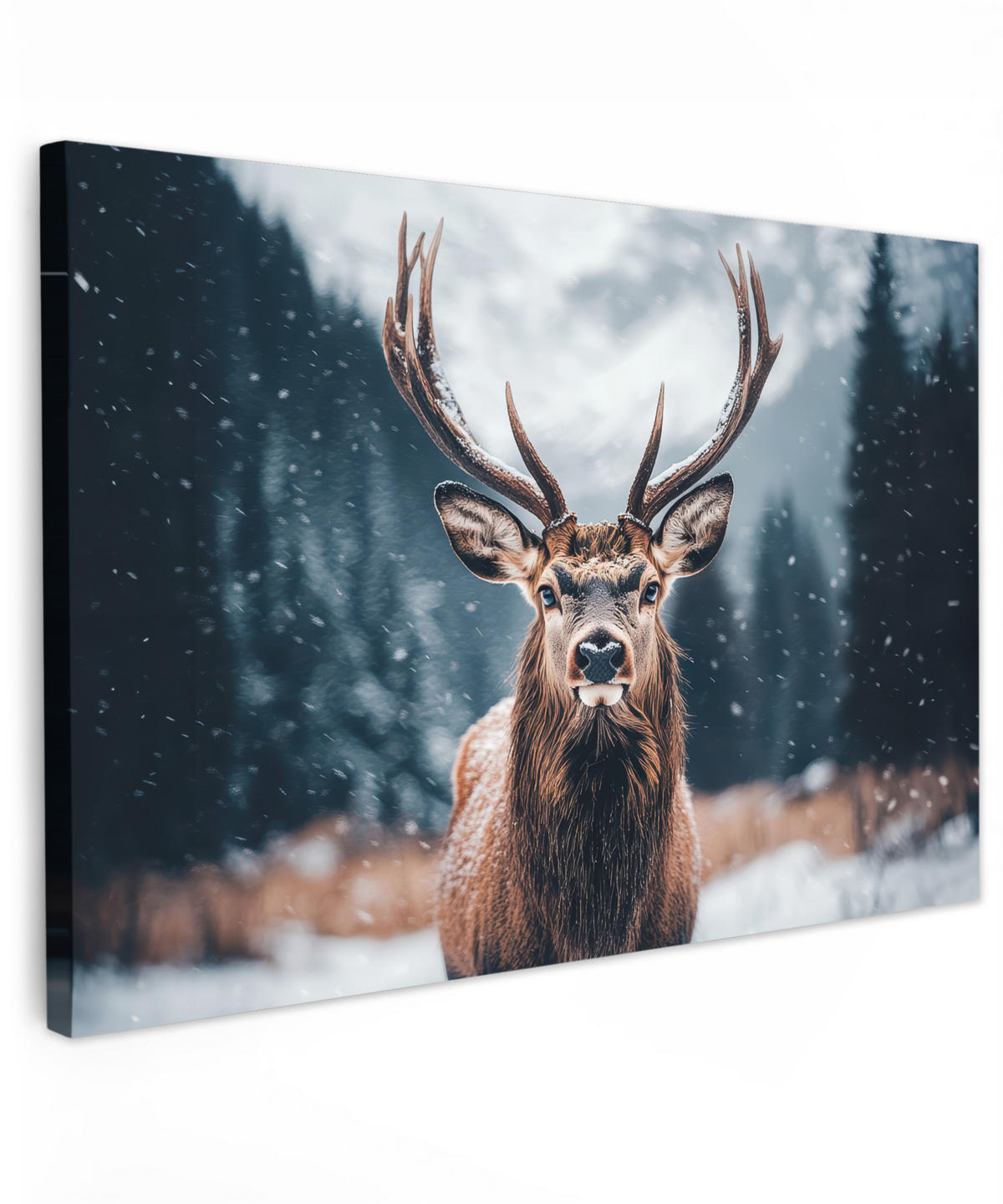 LEINWANDBILD Hirsche - Tiere - Landschaft - Winter - Schnee 30x20 cm - Kastanienfarben, Textil (30/20cm) - MuchoWow