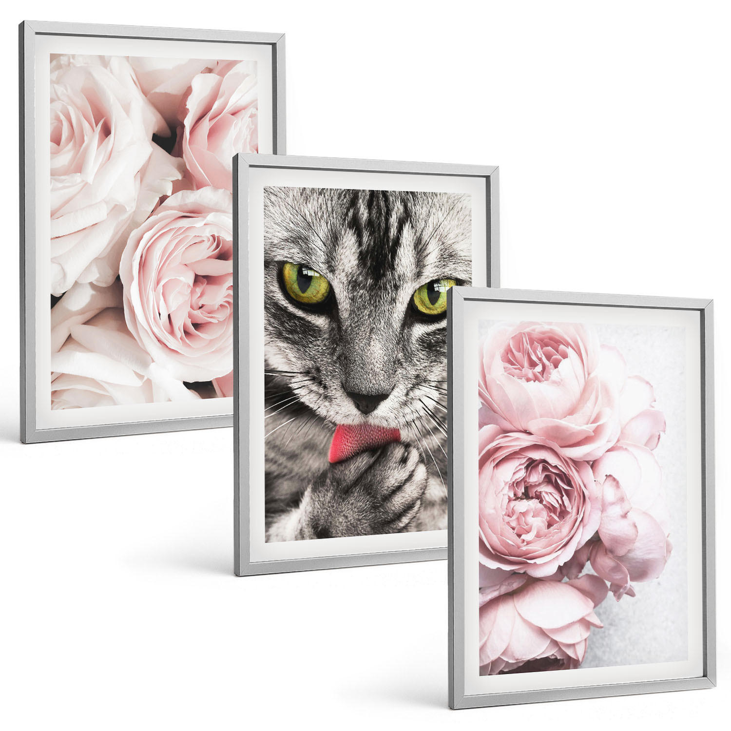 BILDER SET 3er Set - 40x60 cm Silberner Rahmen - Katze in rosa Blumen - Silberfarben, Kunststoff (40/60cm) - TULUP