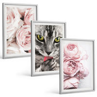 BILDER SET 3er Set - 40x60 cm Silberner Rahmen - Katze in rosa Blumen - Silberfarben, Kunststoff (40/60cm) - TULUP