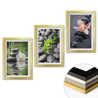 WANDBILDER 3er Set - 20x30 cm Goldrahmen - Eine ruhige Zen-Komposition aus Blumen und Wasser - Goldfarben, Kunststoff (20/30cm) - ArtPrintCave