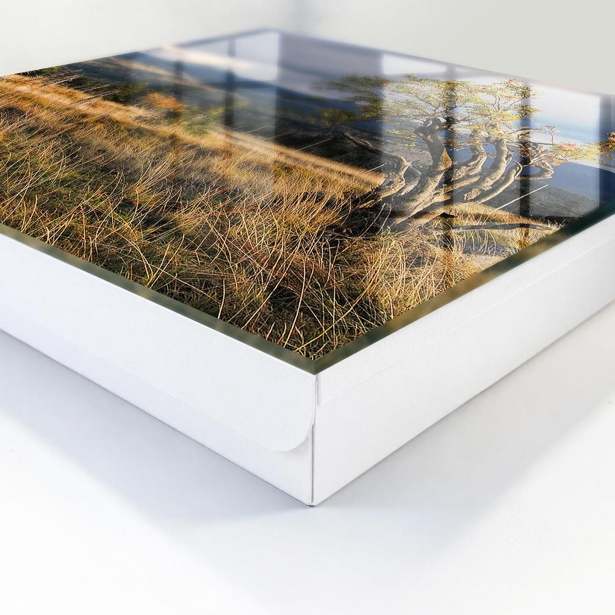 SCHLÜSSELBOX Weiß 30x30 cm – Türöffnung nach rechts - Herbstlandschaft - Grün, Metall (30/30/5cm) - TULUP