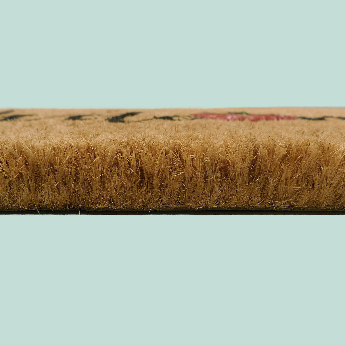 FUSSMATTE - Multicolor, Kunststoff/Textil (60/40cm) - Relaxdays