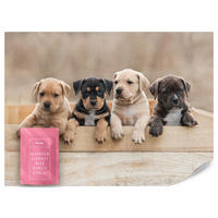 FOTOTAPETE für Kinderzimmer Süße Hunde Tiere 350x256 - Beige/Schwarz, Papier (350/256cm) - Muralo