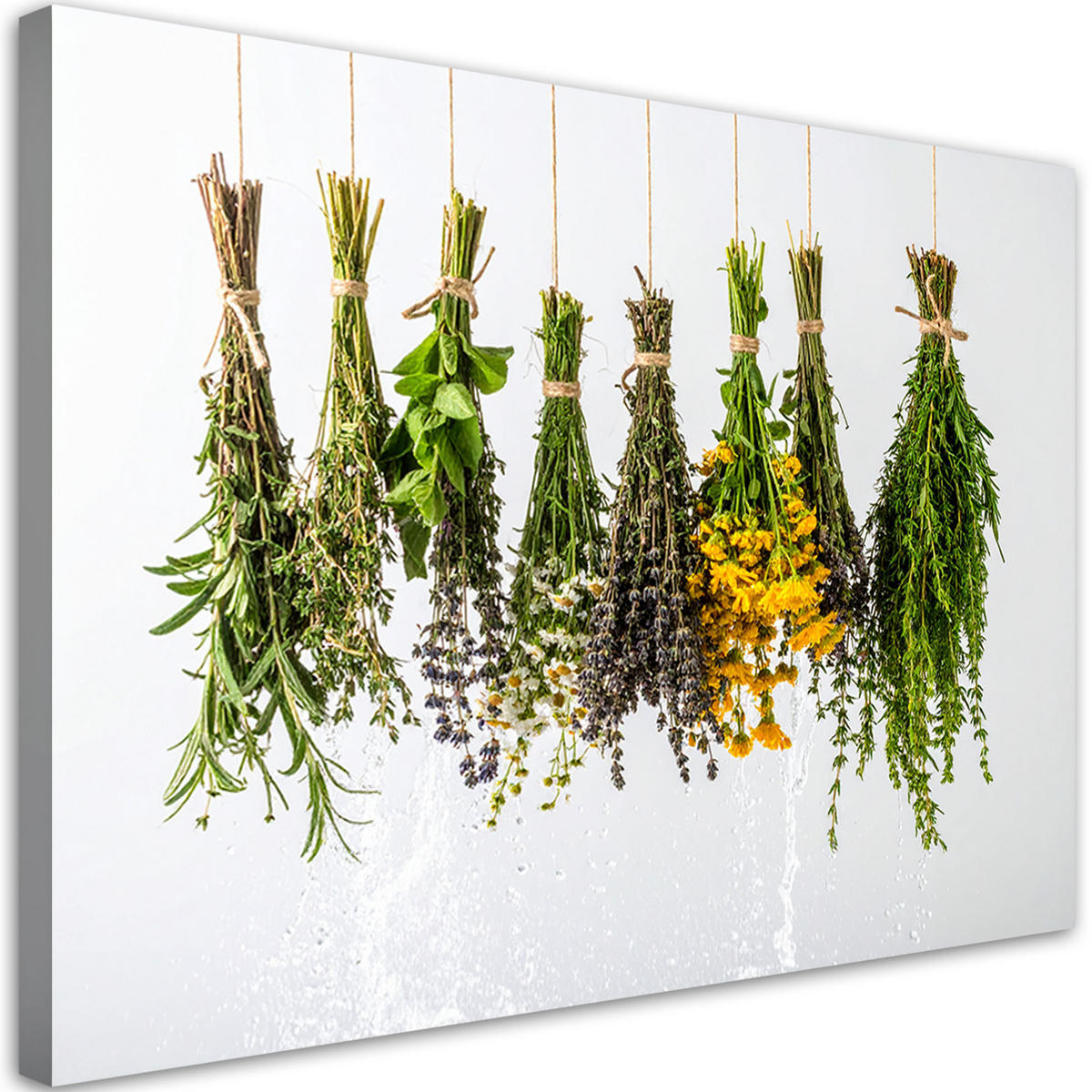 LEINWANDBILD Getrocknete Kräuter Gewürze 120x80cm - Grün, Textil (120/80cm) - Feeby