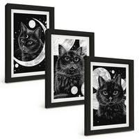 BILDER SET 3er Set - 20x30 cm Schwarzer Rahmen - Schwarze Katzen, Mond, Weltraum - Schwarz, Kunststoff (20/30cm) - TULUP