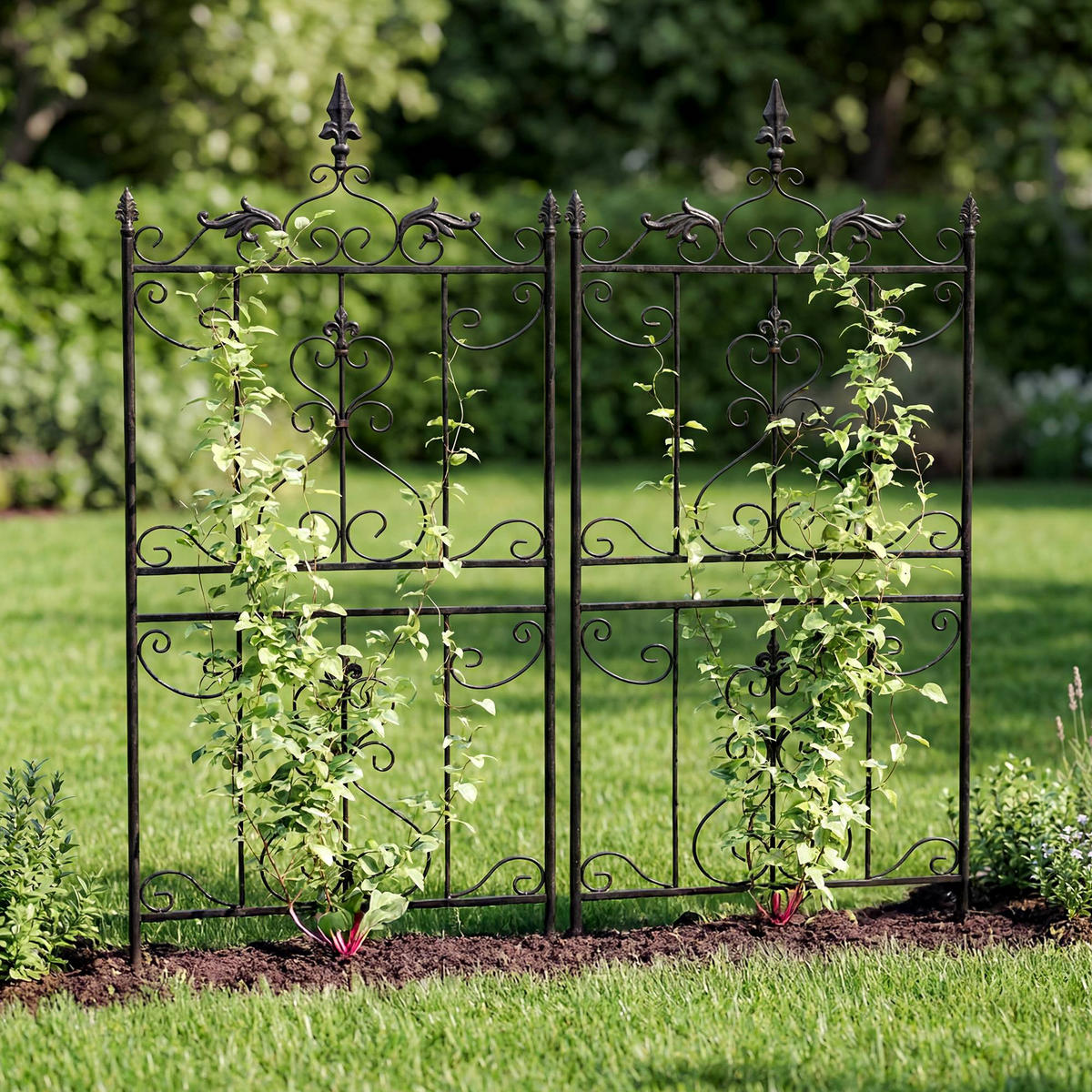 RANKGITTER Ines 2er Set 51x3x124cm Metall Anthrazit Rankhilfe - Anthrazit, Metall (51/124/3cm) - DELUKE