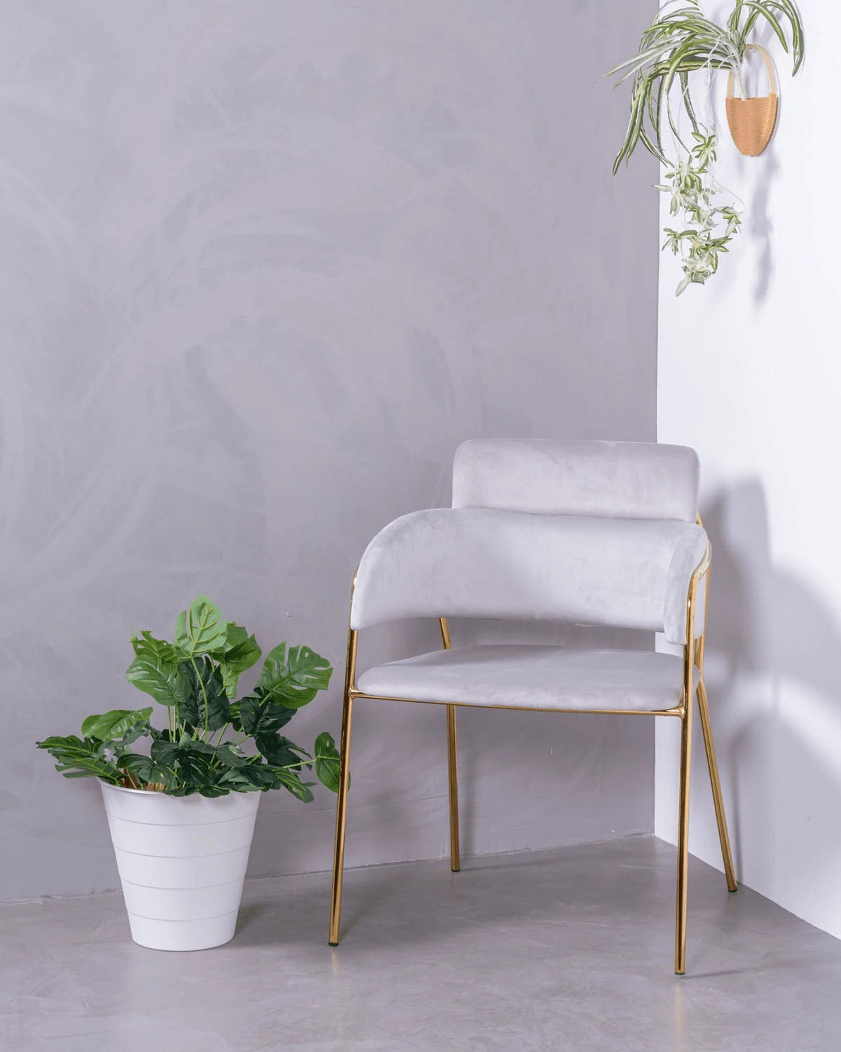 STÜHL-SET 2 Stück Samt Grau - Grau, Textil (60/78/52cm) - Nest Dream