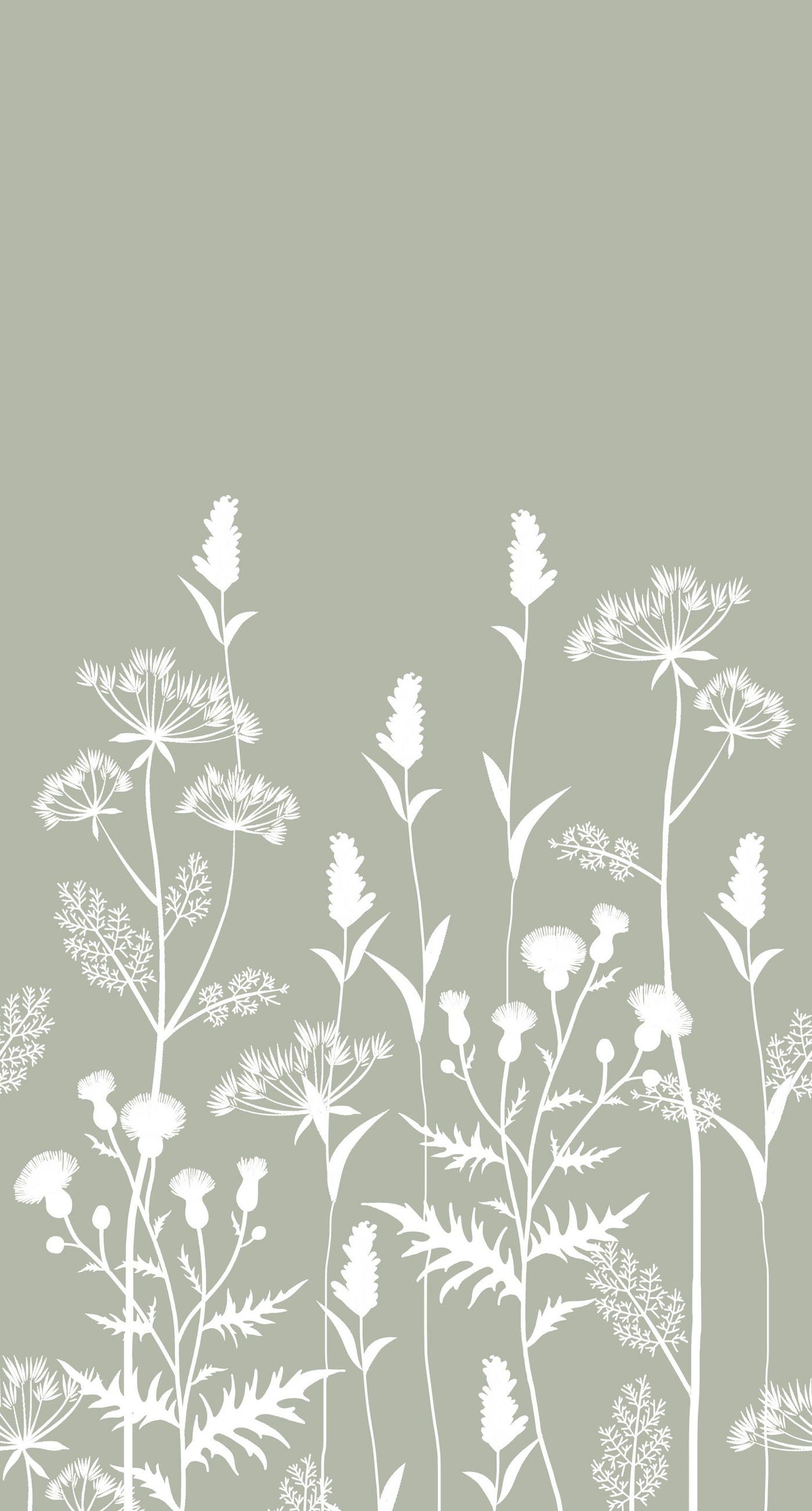 FOTOTAPETE Feldblumen 150 x 279 cm - Grün, Papier (150/279cm) - ESTAhome