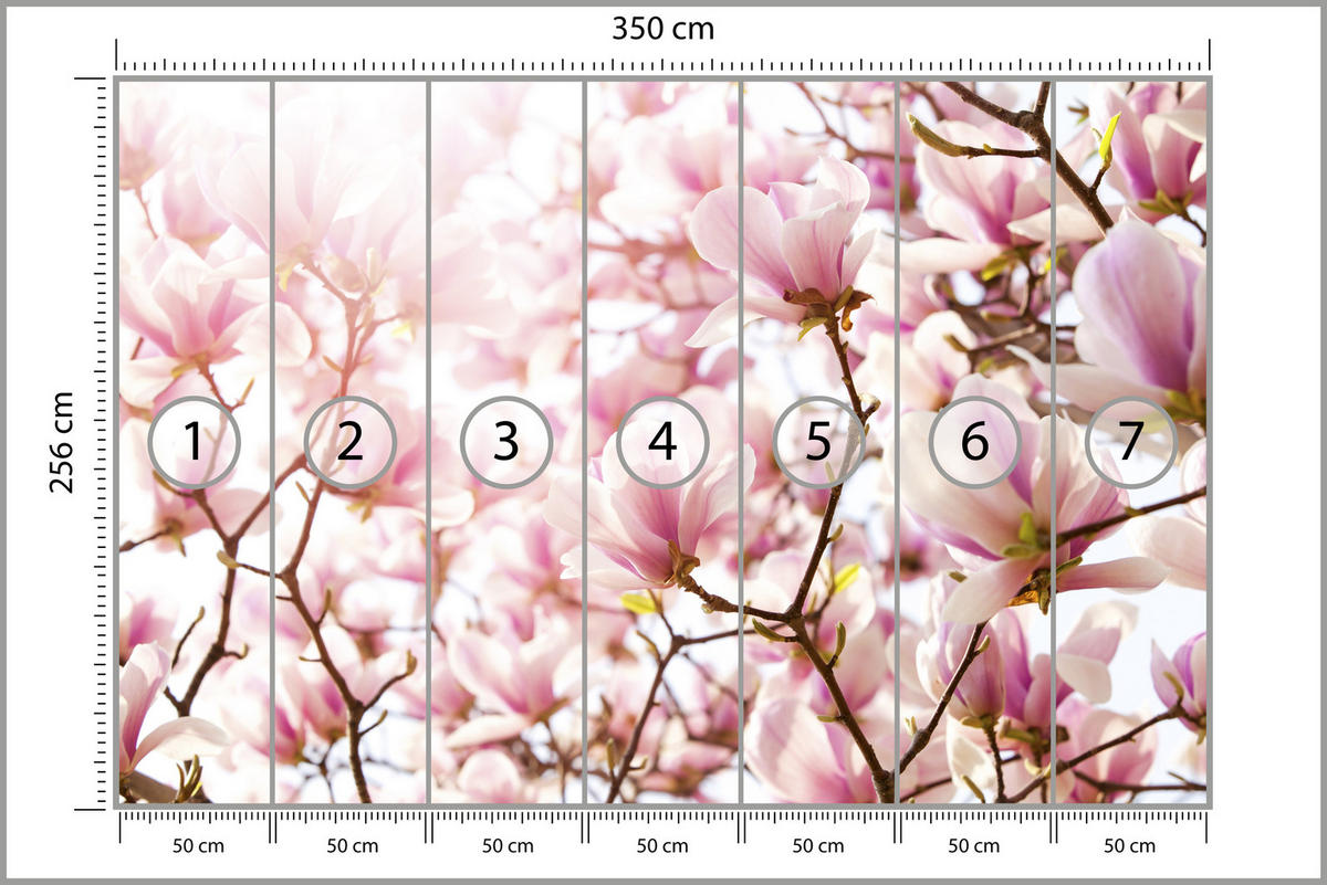 FOTOTAPETE für Schlafzimmer Rosa Magnolienblüten Floral Delikat 350x256 - Violett/Rosa, Papier (350/256cm) - Muralo