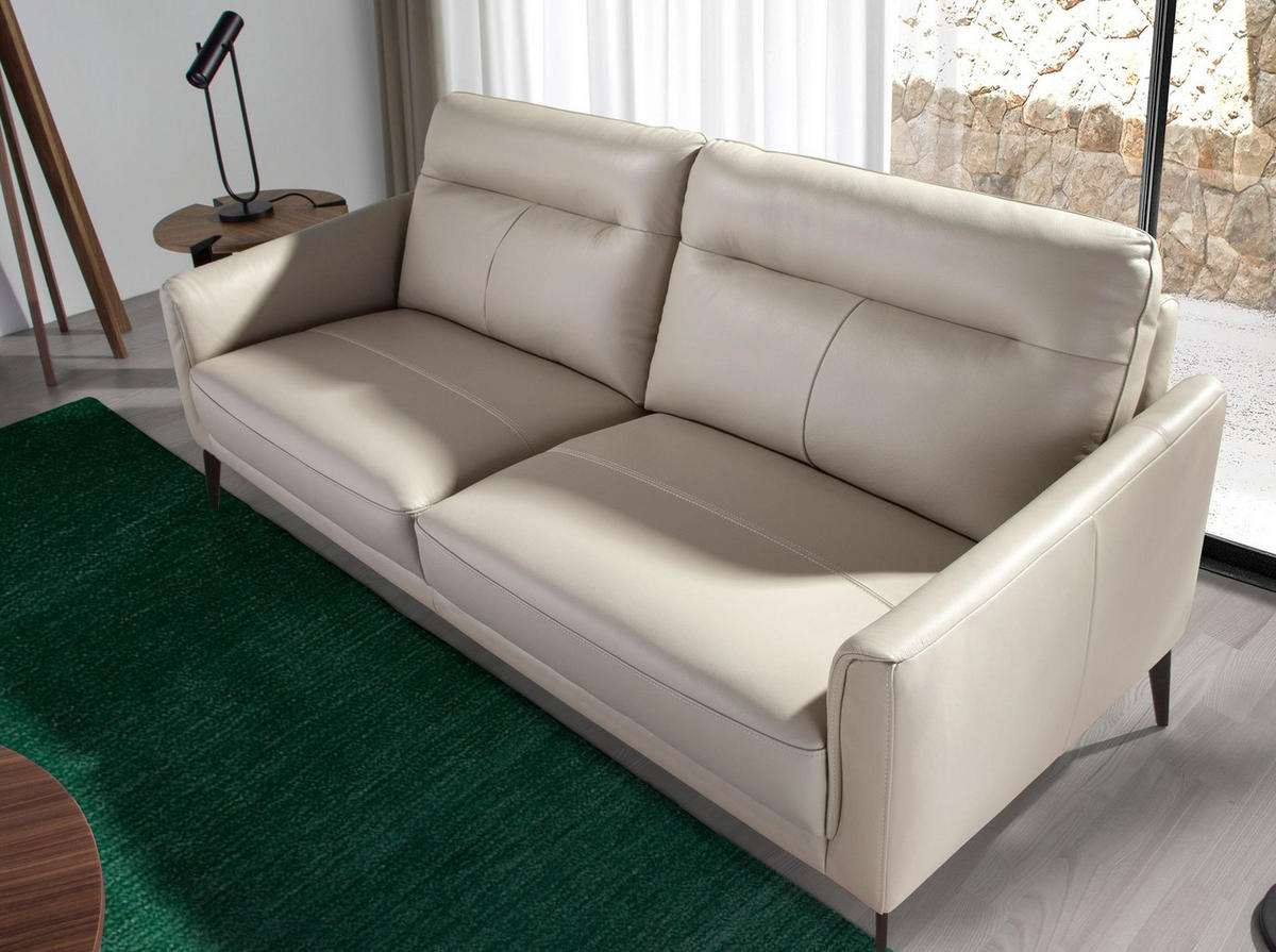 SOFA 2-sitzer ledersofa grau taupe 152/88/87 cm - Dunkelgrau/Schwarz, Leder (152/87/88cm) - ANGEL CERDA