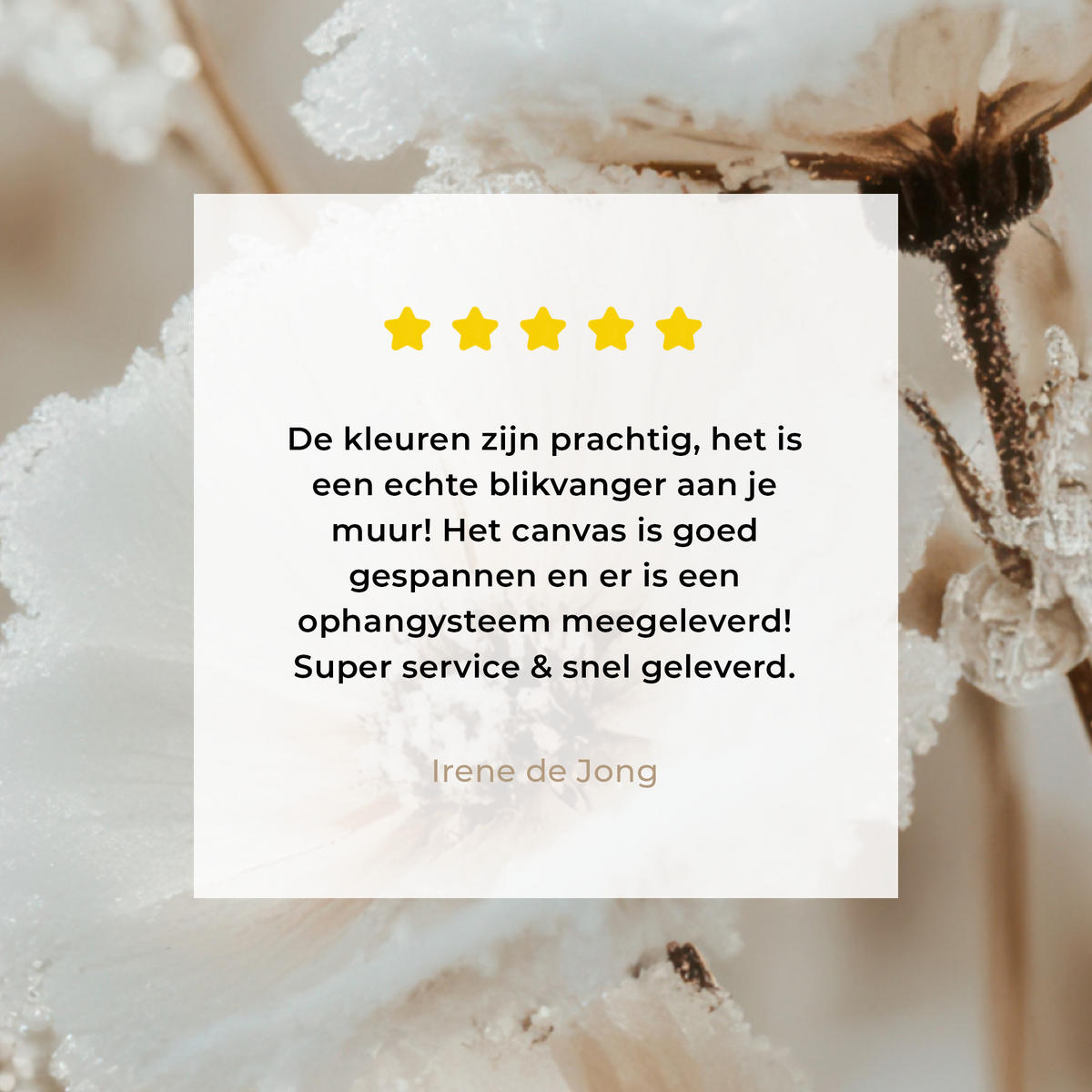 LEINWANDBILD Blumen - Winter - Weiß - Schnee - Beige Deko Wohnzimmer 20x20 cm - Creme, Textil (20/20cm) - MuchoWow