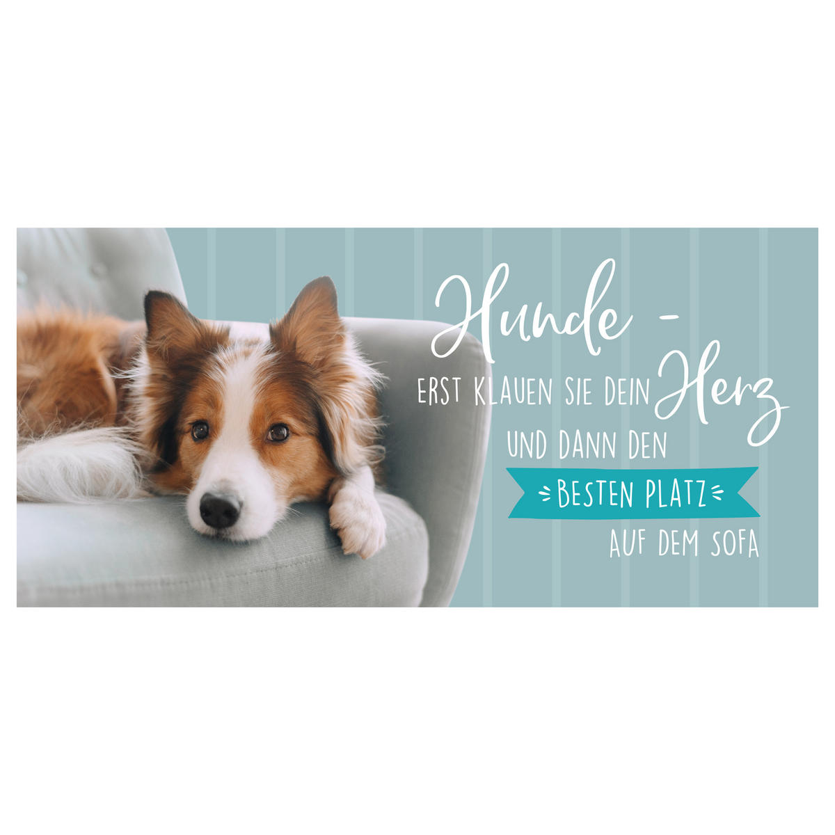 KAFFEEBECHER Hund Collie Erst klauen sie dein Herz Schwarz 320 ml - Schwarz, Keramik (0.32L) - United Labels