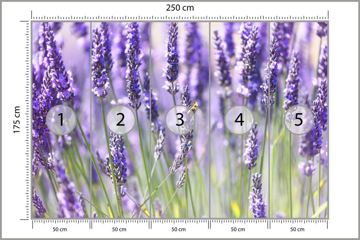 FOTOTAPETE für Küche Lavendelwiese Blumen Kräuter 250x175 - Violett/Grün, Papier (250/175cm) - Muralo