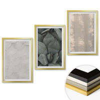WANDBILDER 3er Set - 40x60 cm Goldrahmen - Sommerliche tropische Texturen - Goldfarben, Kunststoff (40/60cm) - ArtPrintCave