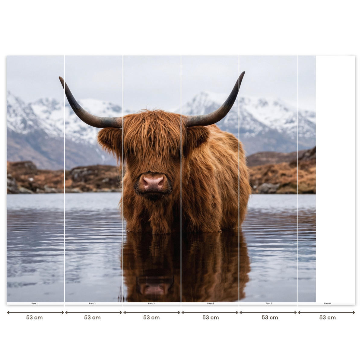 TAPETE - Schottischer Hochländer - Braun - Wasser - 280x220 cm - Braun, Papier (280/220cm) - OnlyWow