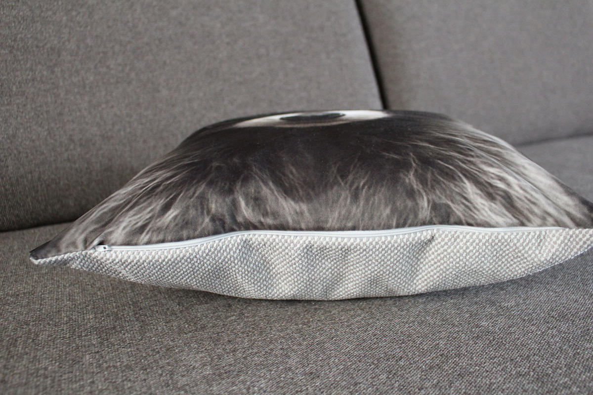 KISSENHÜLLE WASCHBÄR BILL Hut - Dunkelgrau, Textil (45/45cm) - Yve! decoration