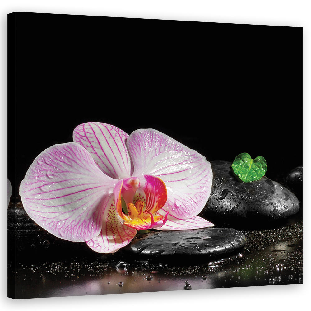 WANDBILD blumen orchidee zen spa - Schwarz, Textil (50/50cm) - Feeby