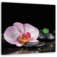 WANDBILD blumen orchidee zen spa - Schwarz, Textil (50/50cm) - Feeby