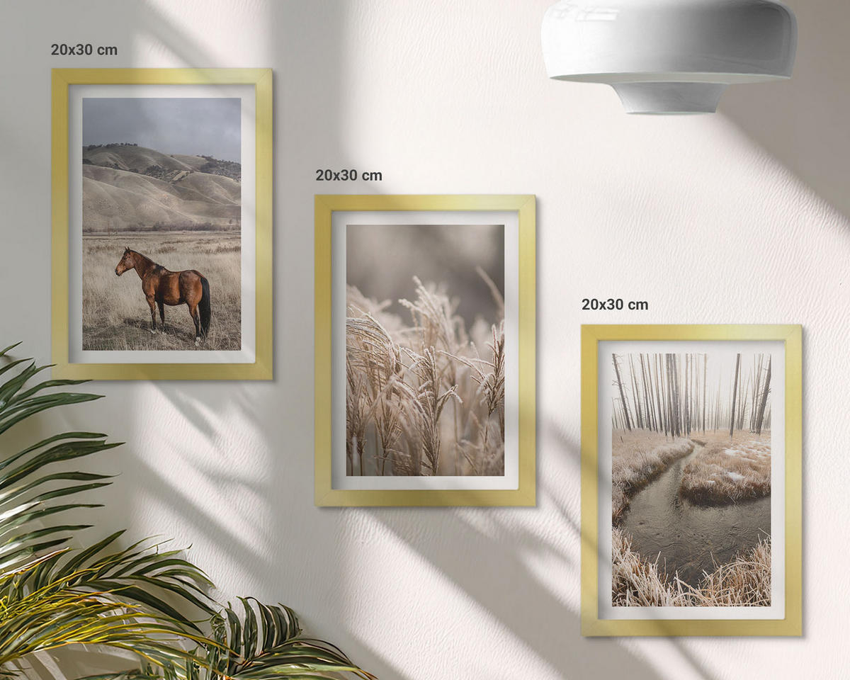 WANDBILDER 3er Set - 20x30 cm Goldrahmen - Pferde, Landschaft, Gras, Bach - Goldfarben, Kunststoff (20/30cm) - ArtPrintCave