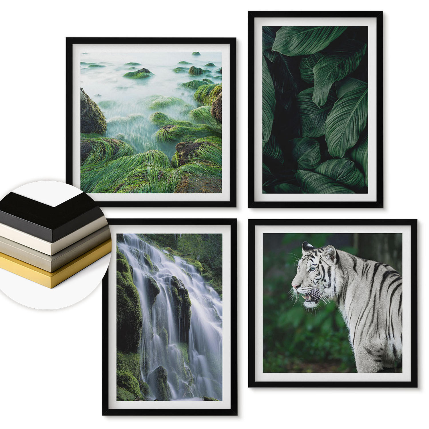 WANDBILDER 4er-Set - 50x50 cm & 40x60 cm Schwarzer Rahmen - Blätter des Weißen Tigerwasserfalls - Schwarz, Kunststoff (50/50cm) - ArtPrintCave