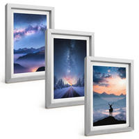 BILDER SET 3er Set - 20x30 cm Silberner Rahmen - Nachthimmel Berge Nebel Hirsch - Silberfarben, Kunststoff (20/30cm) - TULUP