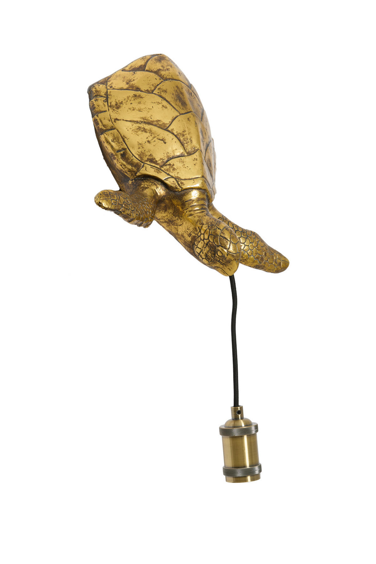 WANDLEUCHTE Schildkröte Bronze 35/26/20 cm - Bronzefarben, Kunststoff (26/20/35cm) - Light & Living