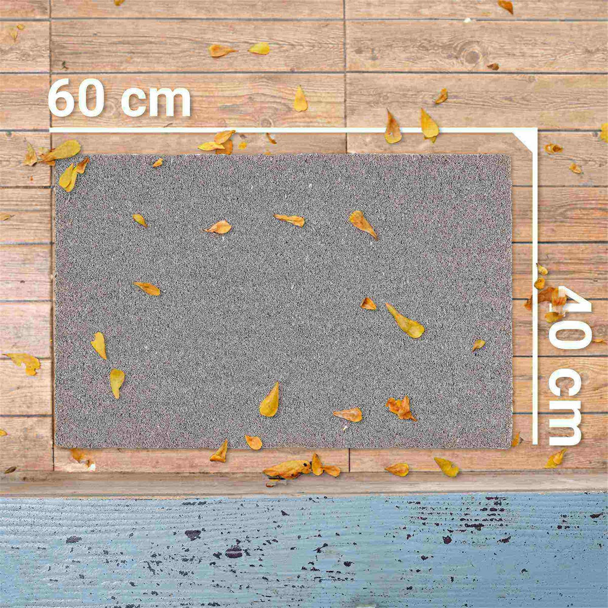 FUSSMATTE IN- UND OUTDOOR COCO COLOR T - Silberfarben, Textil (40/60cm) - Astra