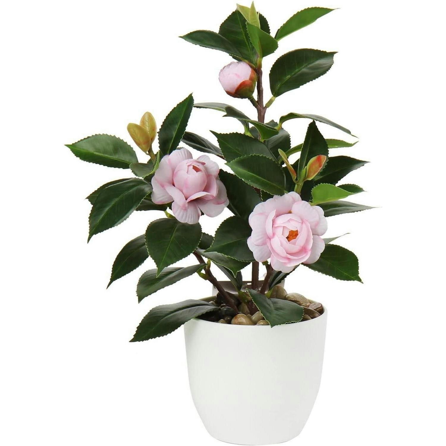 KÜNSTLICHE Pflanze Kamelie Rosa 28 cm - Rosa, Kunststoff (28cm)